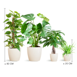 Easy care Plantenbox - medium - met vibers pot wit