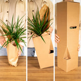 Plantaza Groene Klungelbox ↕ 15-25 cm hoog  ⟷ 10-12 cm pot - 12 kamerplanten