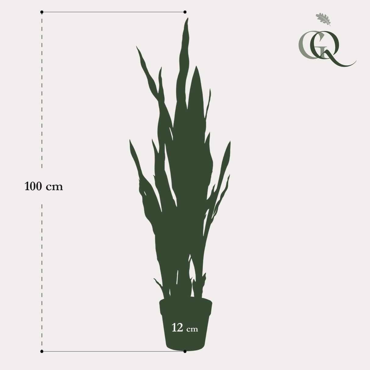 Sanseveria black coral - Vrouwentong - ↕ 97 cm hoog  ⟷ 12 cm pot