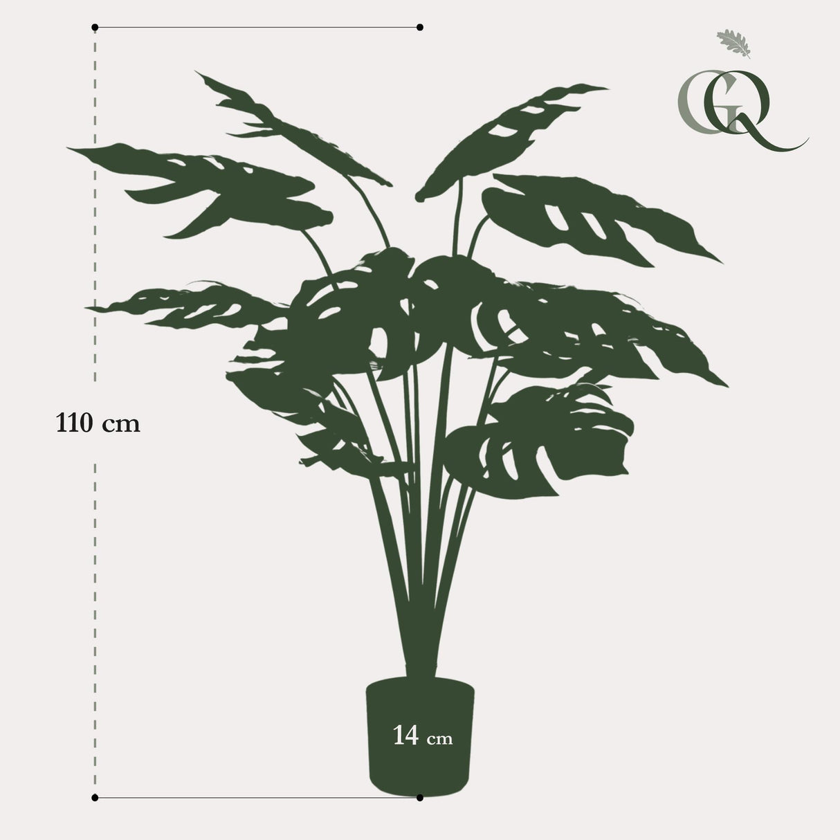 Monstera Deliciosa - ↕ 80 cm hoog  ⟷ 14 cm pot