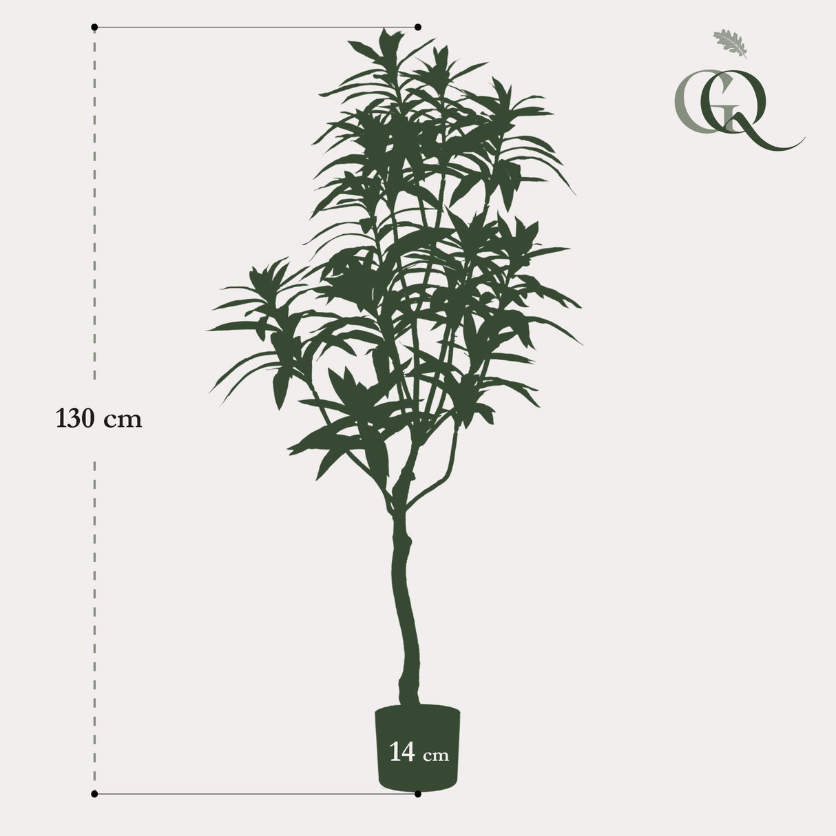 Dracaena - Drakenboom - ↕ 130 cm hoog  ⟷ 14 cm pot