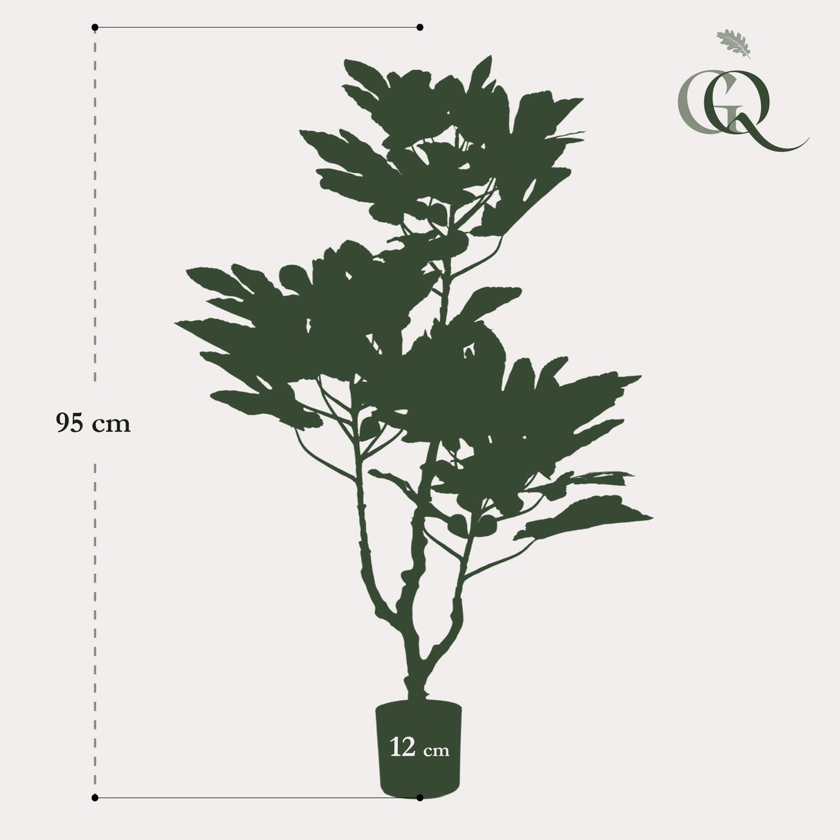 Ficus Carica - Vijgenboom - ↕ 95 cm hoog  ⟷ 12 cm pot